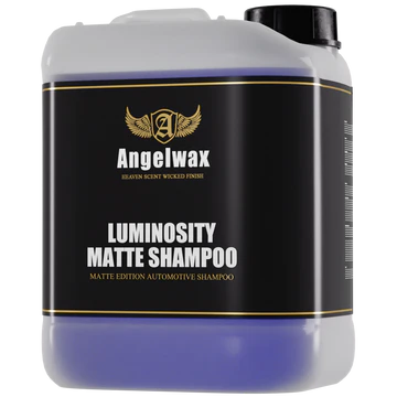 Luminosity Matte Shampoo